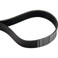 Cinghia scanalata 12J559 Optibelt OPTIBELT 12J559 12PJ559