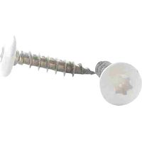 Vis Penture 6X40 Filetée sur 38 TORX T30 Inox A2 LQBLC RAL9016 blanc signalisation-400 pièces