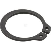 Anillo muelle AGRIA 25308