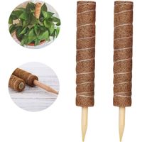 Tinor – Tuteur pour plantes en coco – Lot de 2 tuteurs de 30 cm – Support pour plantes grimpantes – Résistant et durable