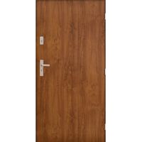 Porte d'entrée MARS 80 cm 72 mm en acier inoxydable en 3 couleurs - Couleur: Chêne doré - Poignée et serrure : Sans - Poussant: Droit