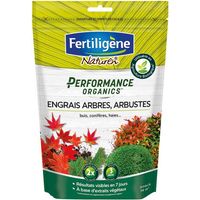 Dünger für Bäume, Sträucher, Buchsbaum, Koniferen 700g /nc - Fertiligene