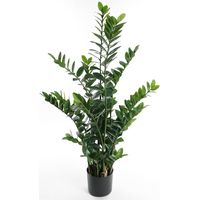 Zamioculcas artificiel en pot, H 130 cm, D 80 cm - dimhaut: H 130 cm