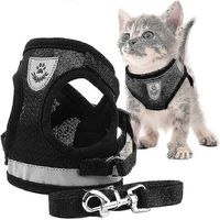 Harnais pour chat, Harnais anti-fugue pour chat (XL Noir)