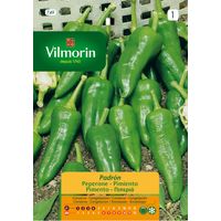 Graines de poivron Vilmorin Padron S-1 749, 0.3 gr