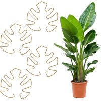 Plantensteun, plantenhouder, plantenhouder, ondersteuning, ronde plantensteunring, plantensteunframe, plantensteunframe, klimhulp, 4 stuks