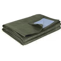 Telo di Ricambio per Garage in PVC Trattato Anti UV Verde 195 g/m2