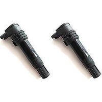 2 Stück Zündspulen 7715853-01 und 7715853-02 für R 1150 R22 0447 (Neue Zündung)