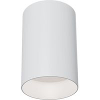 Alfa Deckenaufbau-Downlight Weiß, 1 Licht, GU10