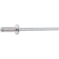 Rivet Aveu.ag5 Tp 4 x12 / 500
