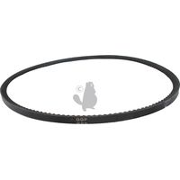 Zahnriemen für Rasenmäher GGP - 135064010/0