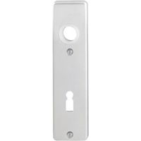 Placa puerta 202KP/AP BB F2 72mm (por 50)