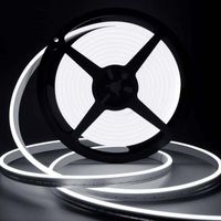 Ruban Led 10M, 12V 6000K Néon Blanc Bande LED Lumineuse, IP65 Etanche Silicone Découpable Flexible Néon Lumière pour Chambre, Cuisine, Décoration