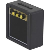 PG3 Haut-parleur pour guitare, ampli guitare et basse, alimenté par piles