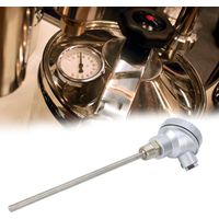RTD-Temperatursensor PT100 mit Sonde, 1/2"-NPT-Gewindeanschluss und 200 mm Sondenlänge