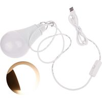 Ampoule USB à économie d'énergie pour stands de marché nocturne et alimentation mobile