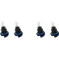Ampoule de Feux Diurnes avec Socle pour 3008 5008 C5 12V 24W 6216F6 89072904 PH24W - 4 Ampoules