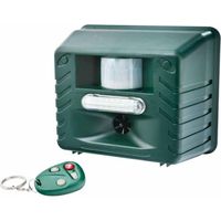 Répulsif à ultrasons pour animaux, alarme sonore, répulsif pour oiseaux extérieur, répulsif pour souris (vert)