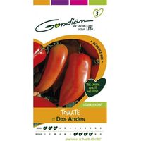 Gondian - Tomate Cornue des Andes