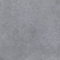 Gres Porcelánico Efecto Cemento Gris Oscuro Antideslizante 60X60 - EBGW016 (Ceramishop.es)