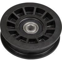 Riemenscheibe AYP 532165936