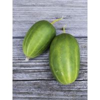 Cornichon de Russie le sachet de 20 graines environ