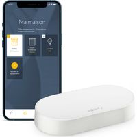 SOMFY 1870755 - Kit de connectivité - Pilotez les moteurs et l'éclairage SOMFY par smartphone