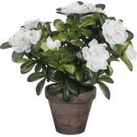 Azalée Artificielle Blanche En Gris Tiesto Ø11,5cmx27xø20cm