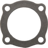 Guarnizione testa cilindro AGRIA AGW10253