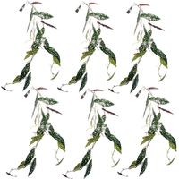 6 x 110cm Artificial Hanging Trailing Begonia Maculata Spotted Plant - Premium Quality