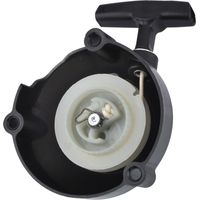Démarreur à Rappel pour Stihl BR600 BR500 BR550 Souffleur de Feuilles, Référence 4282 190 0303