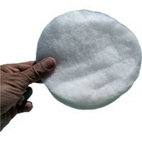 Filtre disque pour panier skimmer - Robot...