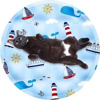 Tapis rafraîchissant pour Chat pour l'intérieur Tapis