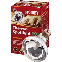 Hobby Thermo Spotlight Eco, spot halogène chauffant pour le terrarium - 42W