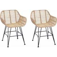 vidaXL Chaise de salle à manger 2 pcs Rotin et métal Naturel