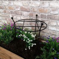 Tom Chambers Cottage Heavy Duty Black Metal Steel Herbaceous Garden Plant Support Grow Through Small 60cm x 35cm