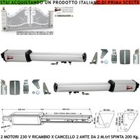 Pistoni Cancello Automatico 4 Metri 2 Ante 2 Motoriduttori di Ricambio 220 V Corsa 300 mm Spinta 2 Q.li 2 Condensatori 16 µF Kit Staffe Chiave Sblocco sul Carrello di Traino Compatibili a Qualsiasi El