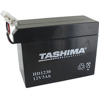 Motorrad-Batterie Tashima 12V, 3A, anpassbar für Honda. L: 110, B: 55, H: 80 mm. Spezielle Verbindung. - Batterie zum Einlegen in Aci