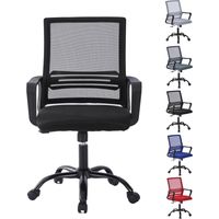 Adjustable Swivel Office Chair w/Padded Seat Cushion and Lumbar Support - MESH BLACK
