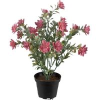 Succulente fleurie factice cactée Vieux Rose pot H30cmD25cm plastique