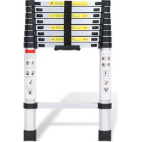 Wolketon Escalera telescópica Pro 2,6 m, aluminio, 150 kg, patas antideslizantes
