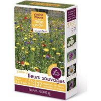 Jachère fleurs sauvages 50 à 100 m2