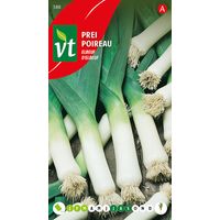 Poireau D'Elbeuf - Ca. 5 gr (Livraison Gratuite)