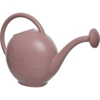 Arrosoir de jardin de neuf litres