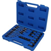 BRILLIANT TOOLS HSS Extractor de tornillos juego de 25 piezas - BT541900