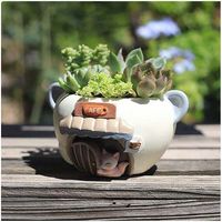 Pot de fleurs pour plantes succulentes, pot de 4 pouces, pot de fleurs, pot de plantes d'intérieur avec drainage, pot de plantes d'intérieur (renard, 1 paquet)