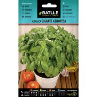 Batlle Semillas de Albahaca Gigante Genovesa - 3 Bolsitas
