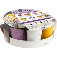 Plateau 7 Fleurs Comestibles