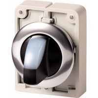Commutateurs rotatifs lumineux 30mm à manette blanc 2 positions à rappel EATON M30C-FWLK-W