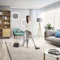 Aspiradora Electrolux ecgc21-2y 600W capacidad 0.92L